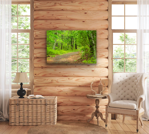 Country home with Forest photo