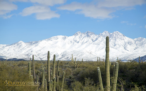 Four Peaks Snow