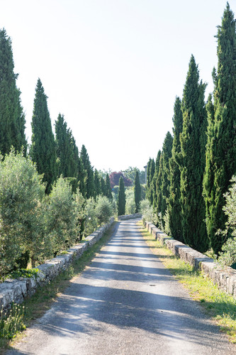 Castello-di-Meleto-wedding-27.jpg