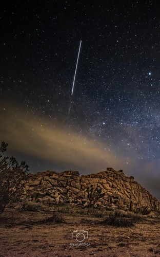 @Curskipics Wallpaper April 2023 Joshua Tree Space Station.jpg