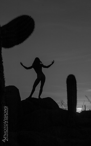Arizona Silhouette