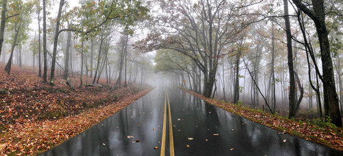 A Foggy Road.jpg