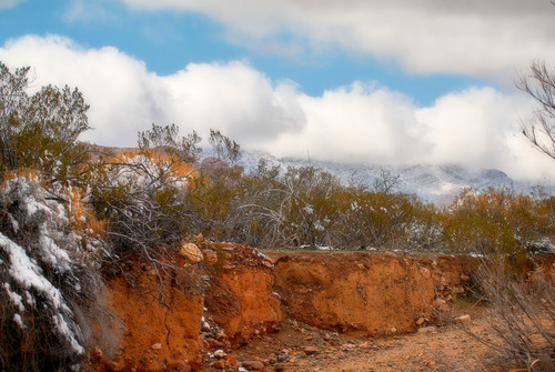Desert Postcards