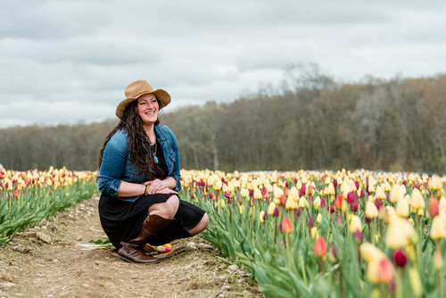 TurcotteTulip Farmjpg