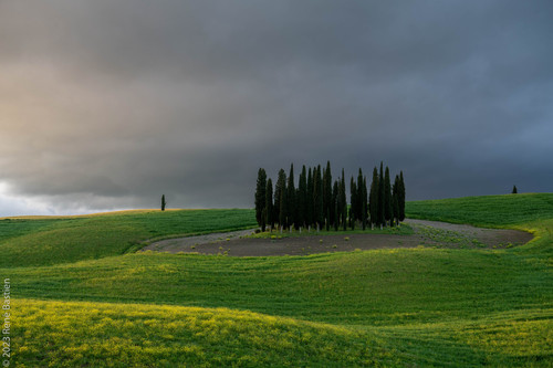 Tuscanyjpg