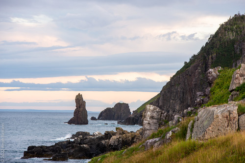 Newfoundlandjpg
