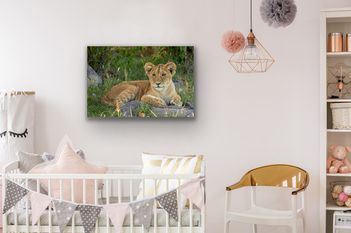 Childs room with Lion Cub photo