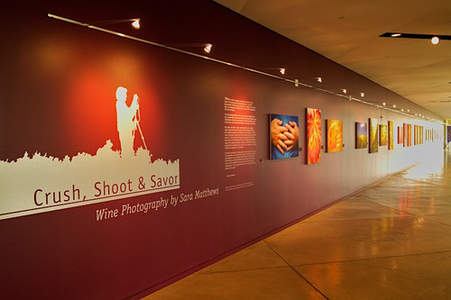 Opening party for Sara Matthews photography exhibition at Copia the center for wine food and the art