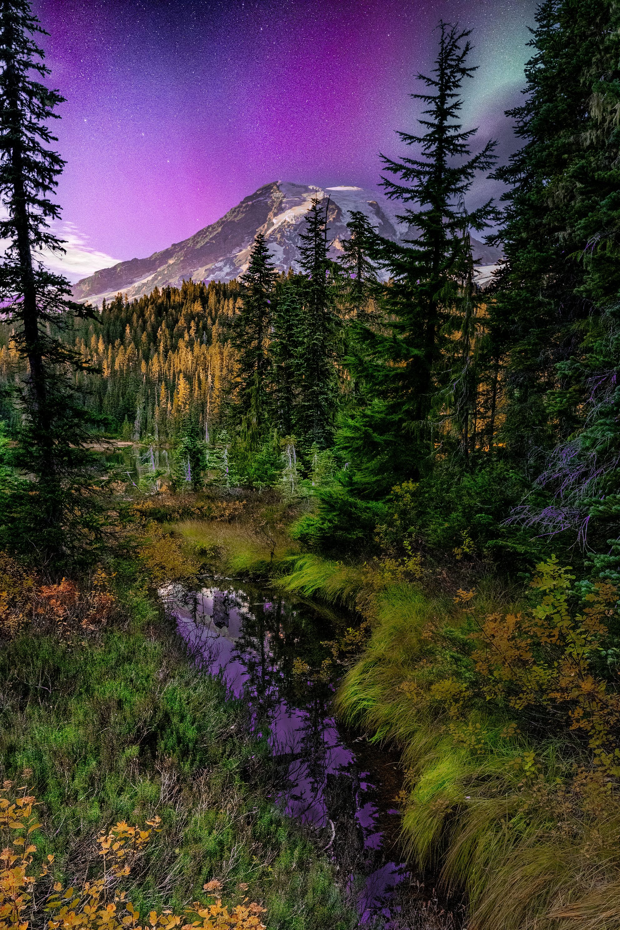 Autumn Aurora Over Mt. Rainier