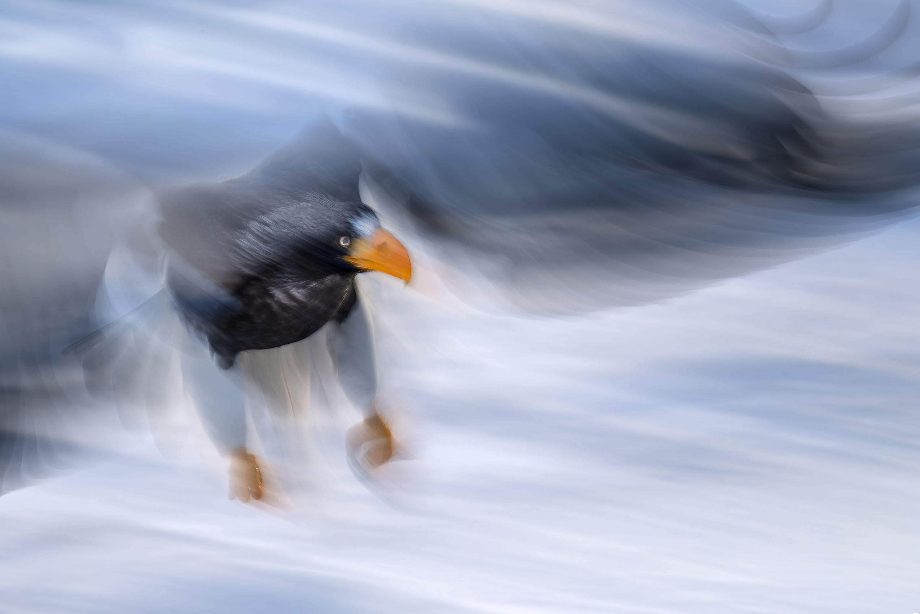 ZEnhancedNREdit MTS v x sRGB xjpg