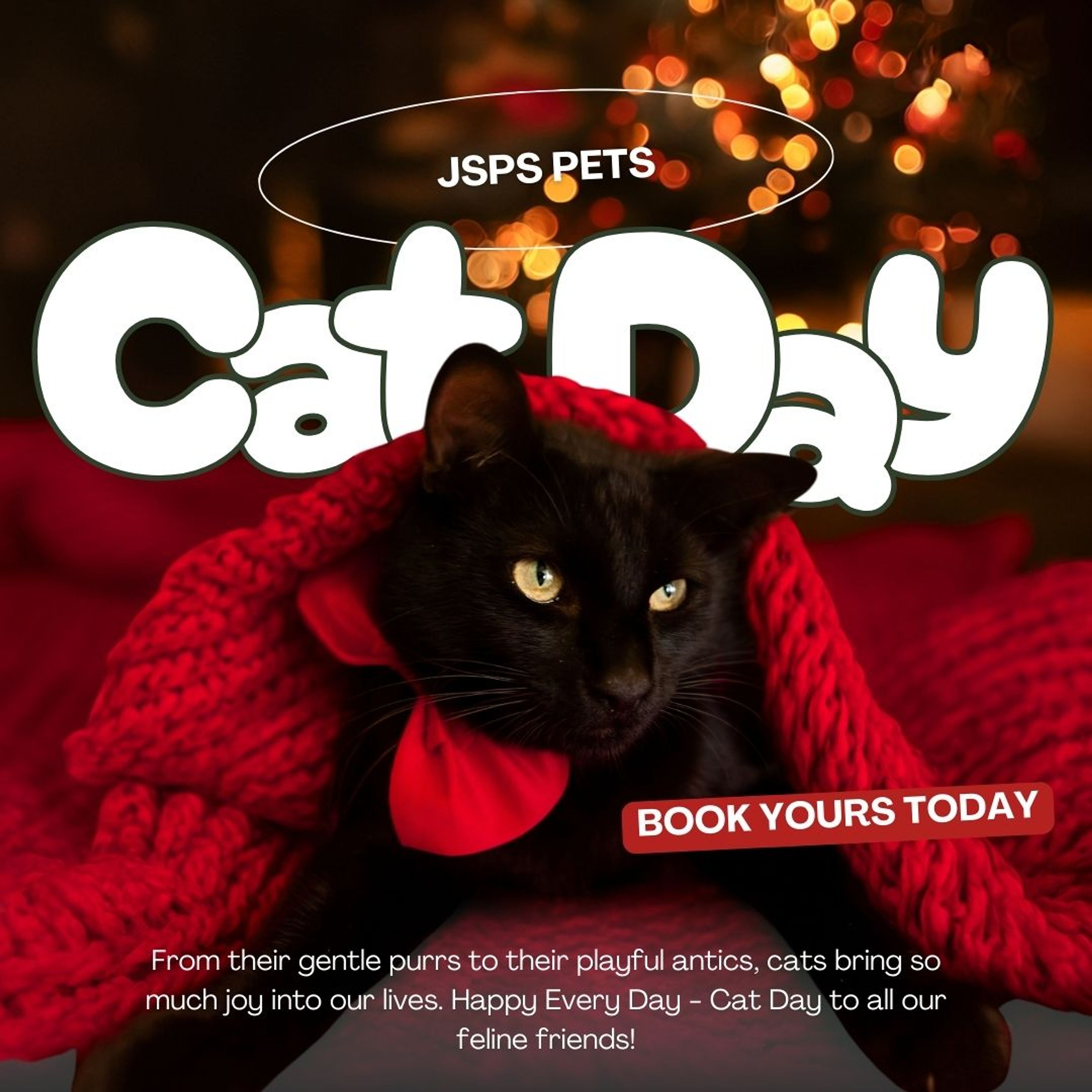 Cat Day is Every Dayjpg