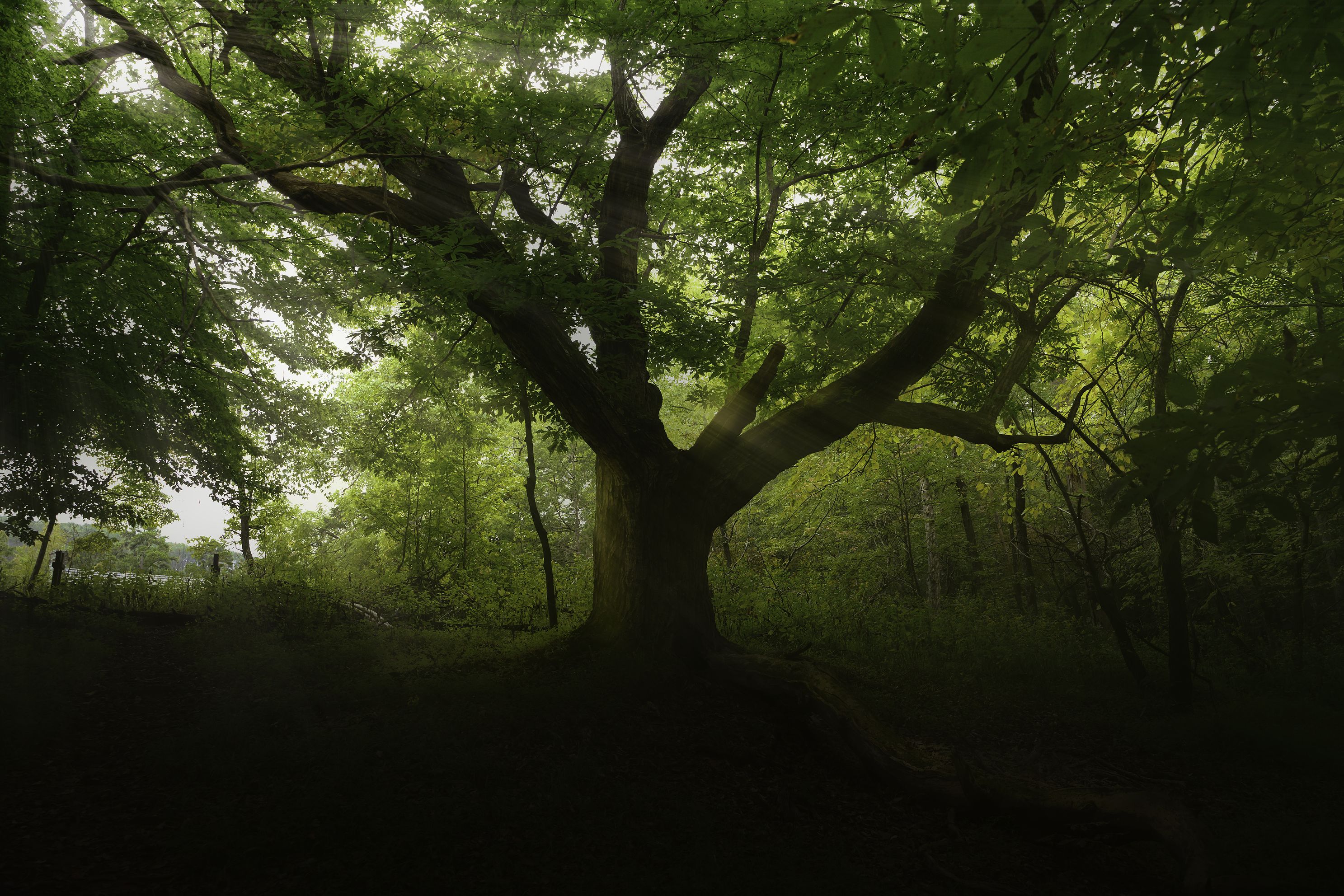 MorrowMountainHRjpg