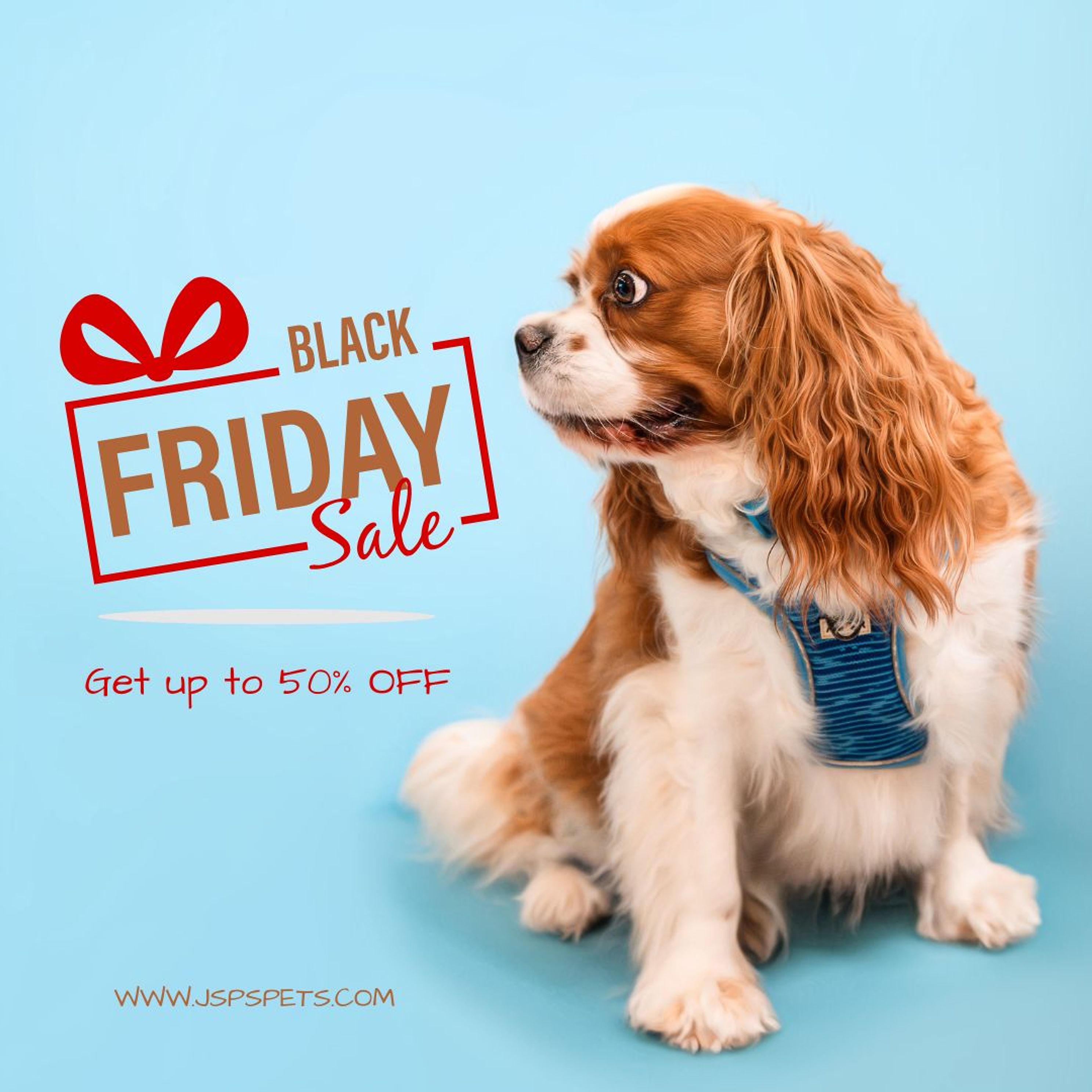 BLACK FRIDAYjpg