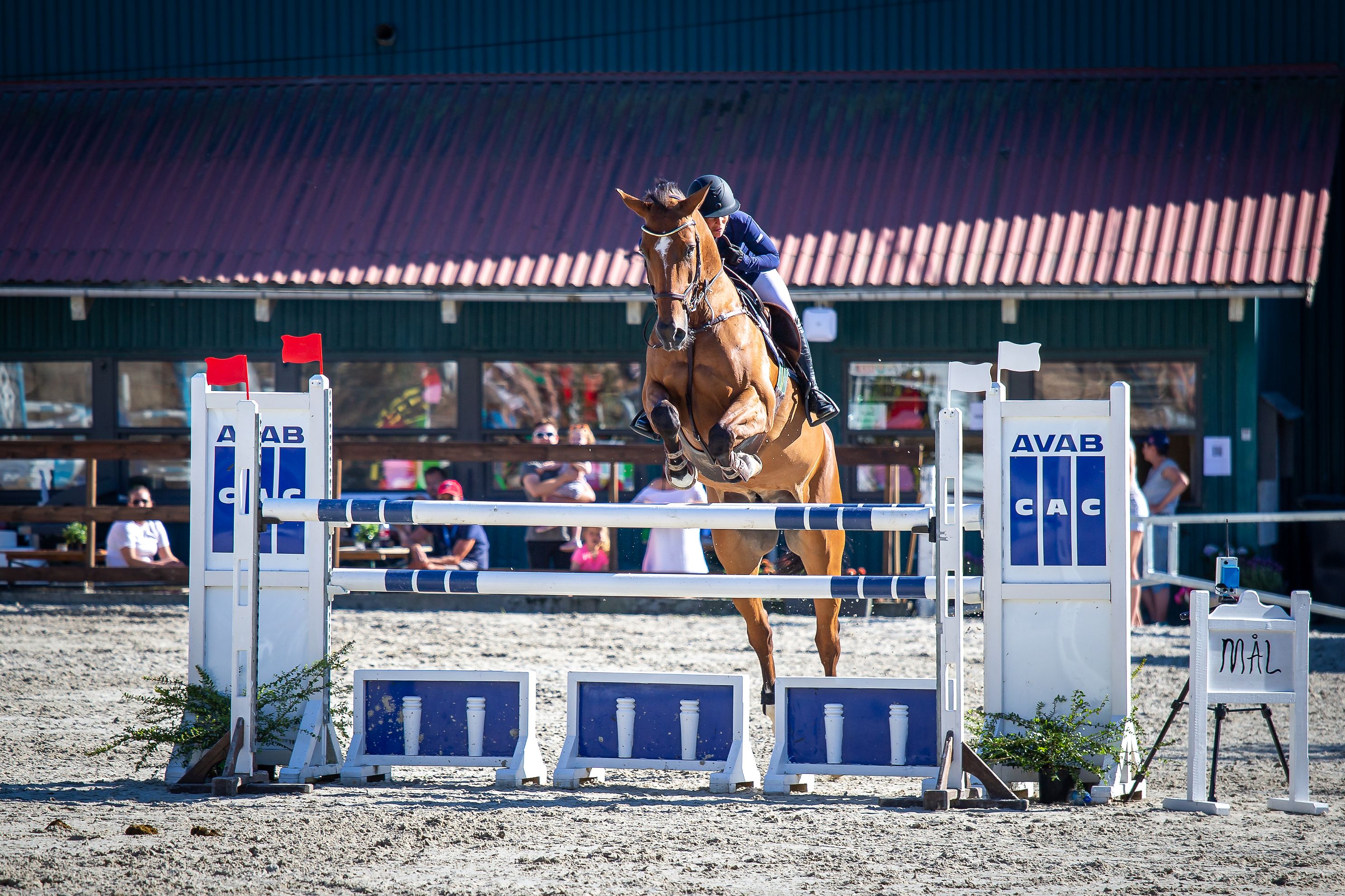 Bergen Horse Show