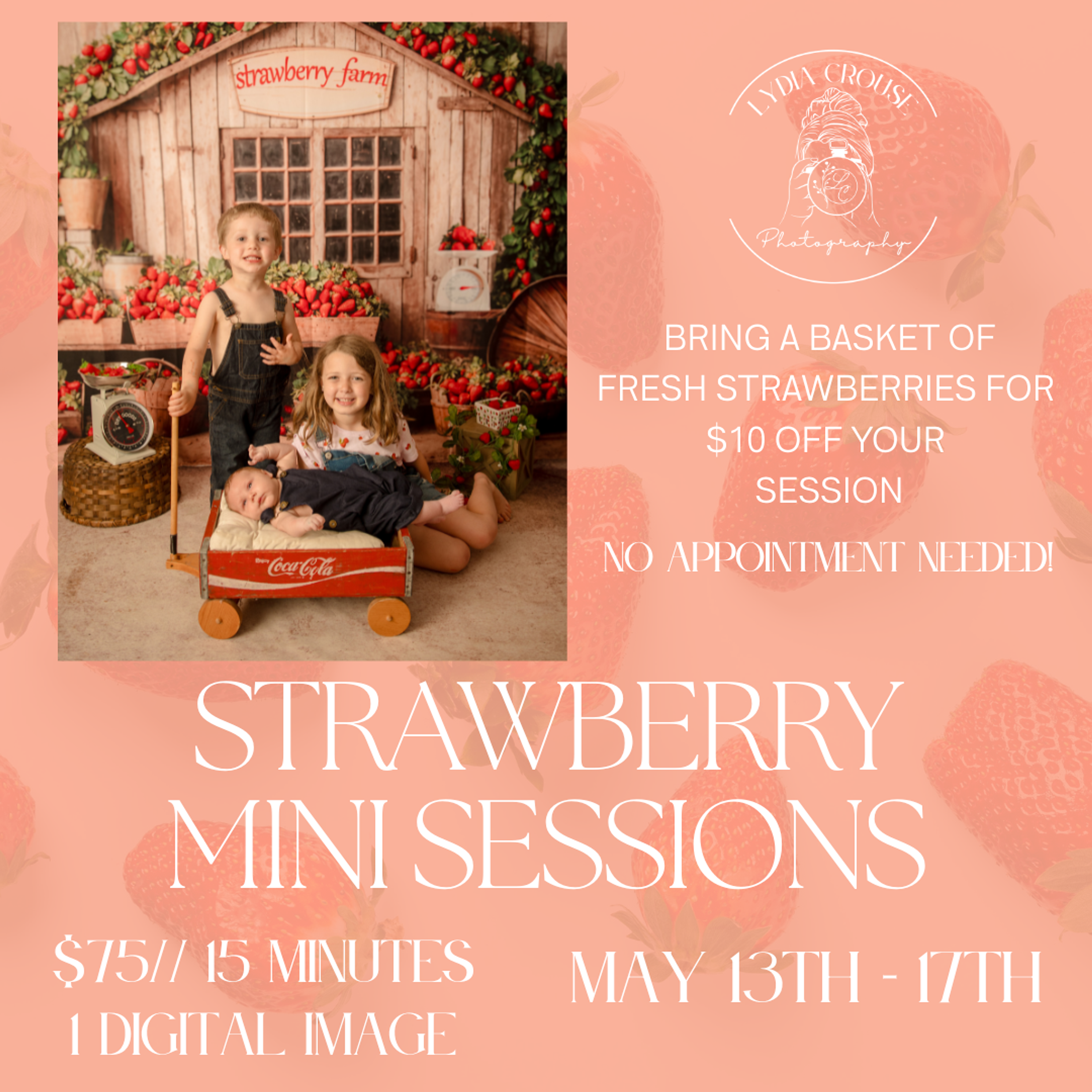 Beige and pink minimalist modern spring mini sessions instagram postpng
