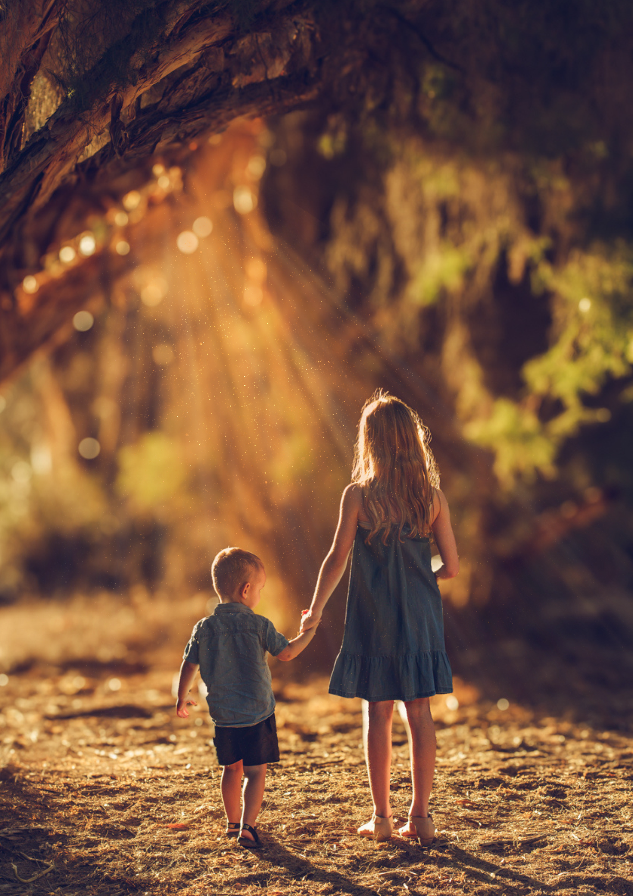 Siblings holding hands in magical sunlit forest path, Perth children's photography by Fyrefly