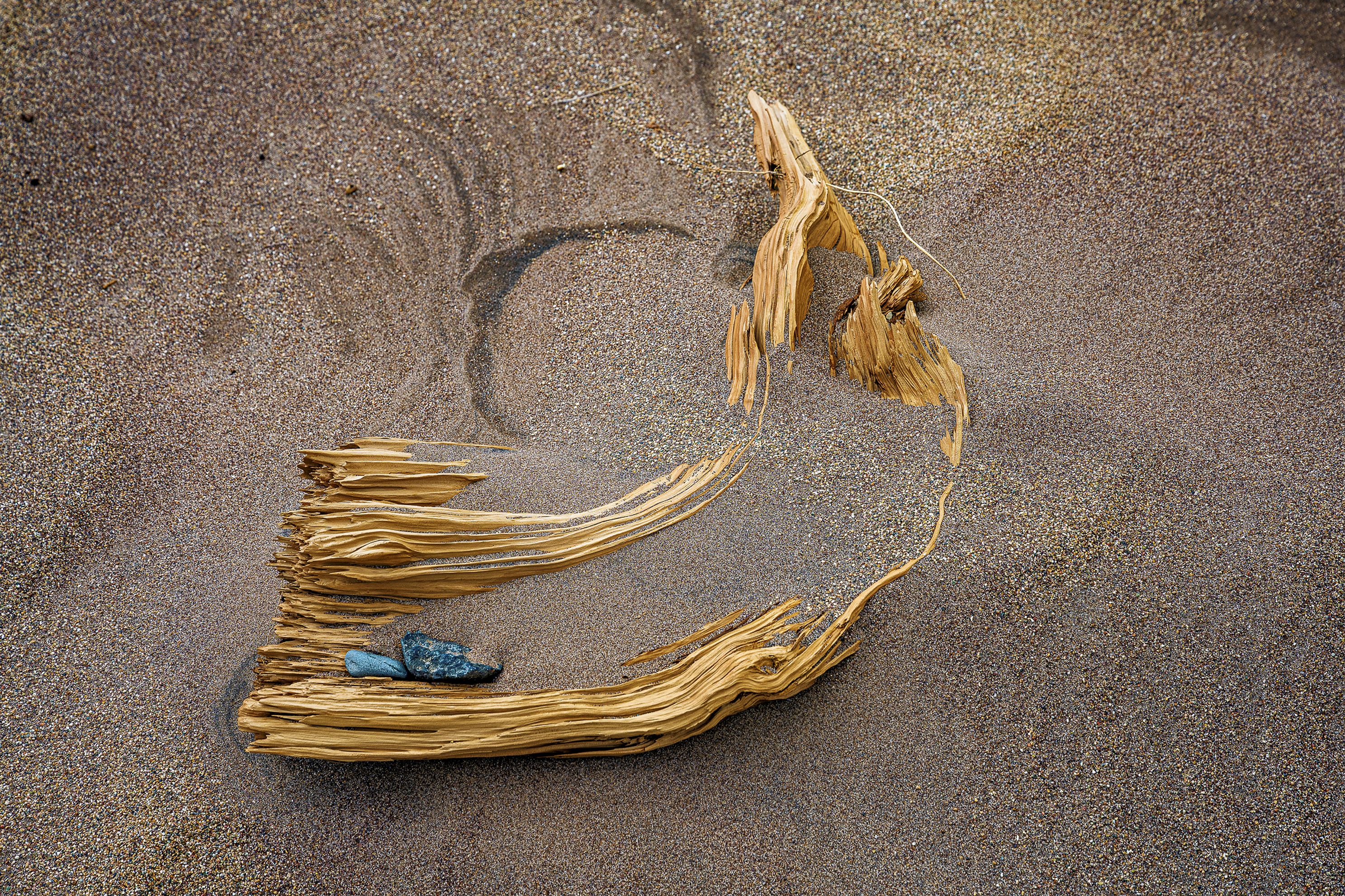 Leftover, Great Sand Dunes National Park, Colorado